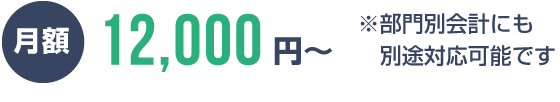 月額12,000円〜